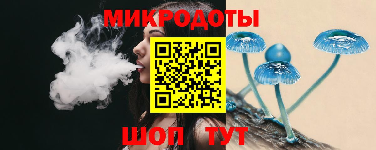 Псилоцибиновые грибы мицелий Владимир